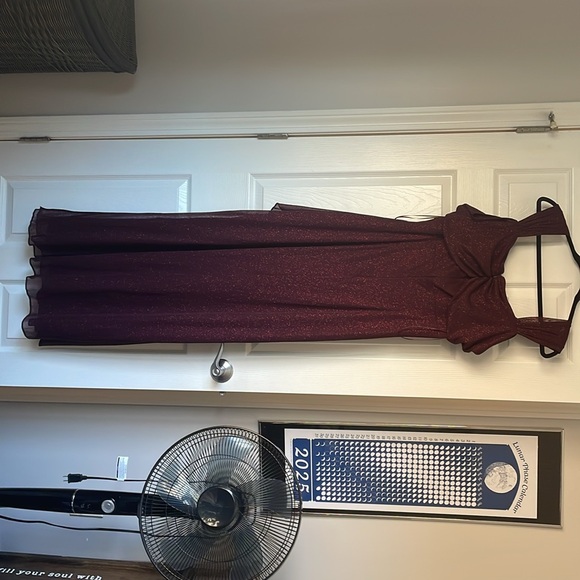 Wine Colored Gown (Sparkly) - Picture 7 of 8